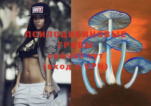 амфетамин Каменка