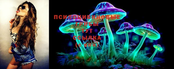 эйфоретик Каменногорск