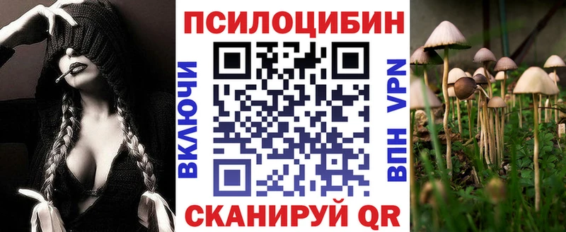 Купить закладки  Златоуст  Галлюциногенные грибы Psilocybe 